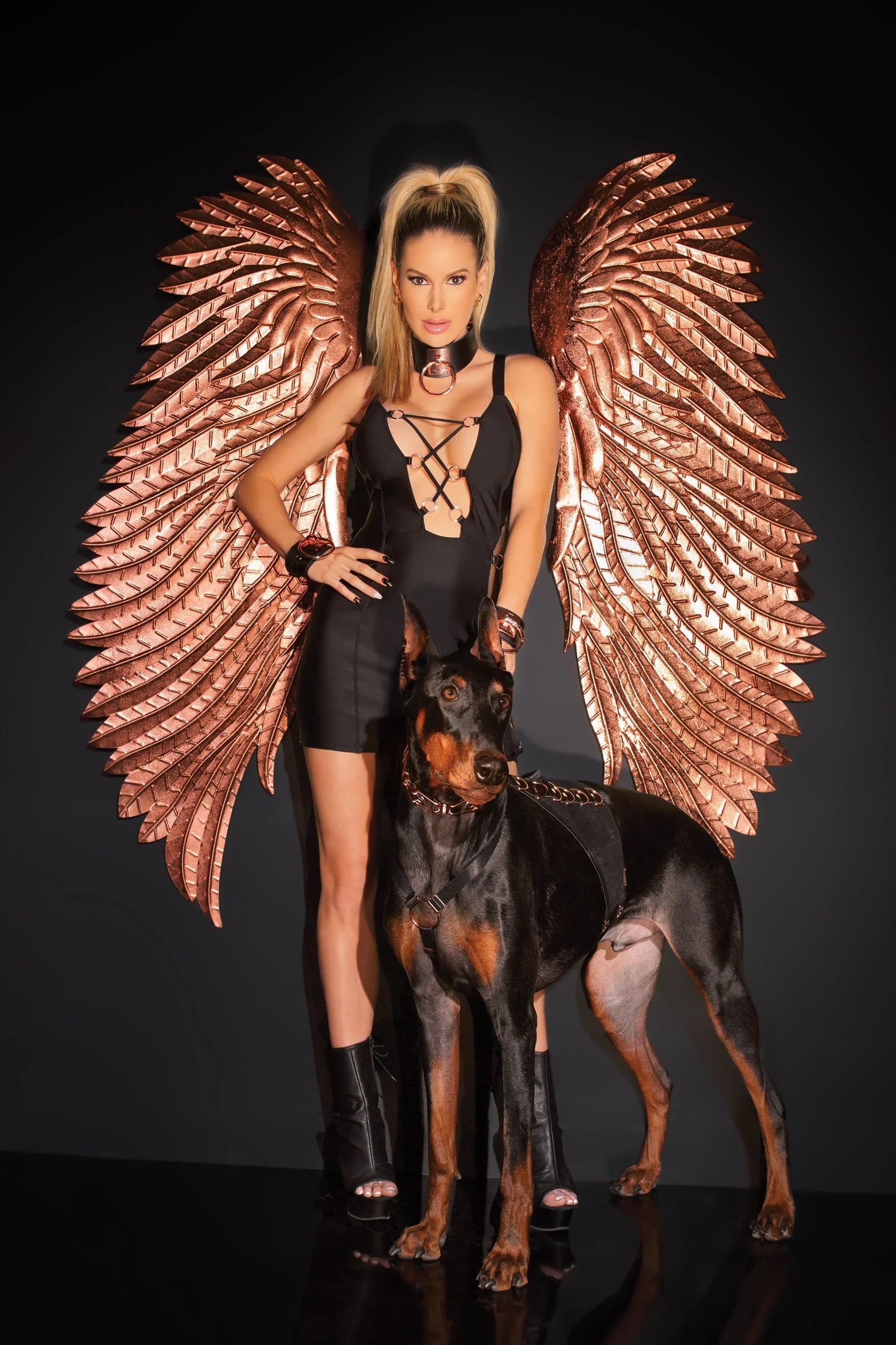 Collection of Total Eclipse Dress in a gallery layout