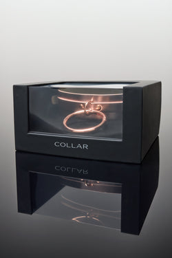 Collection of Collar in a gallery layout