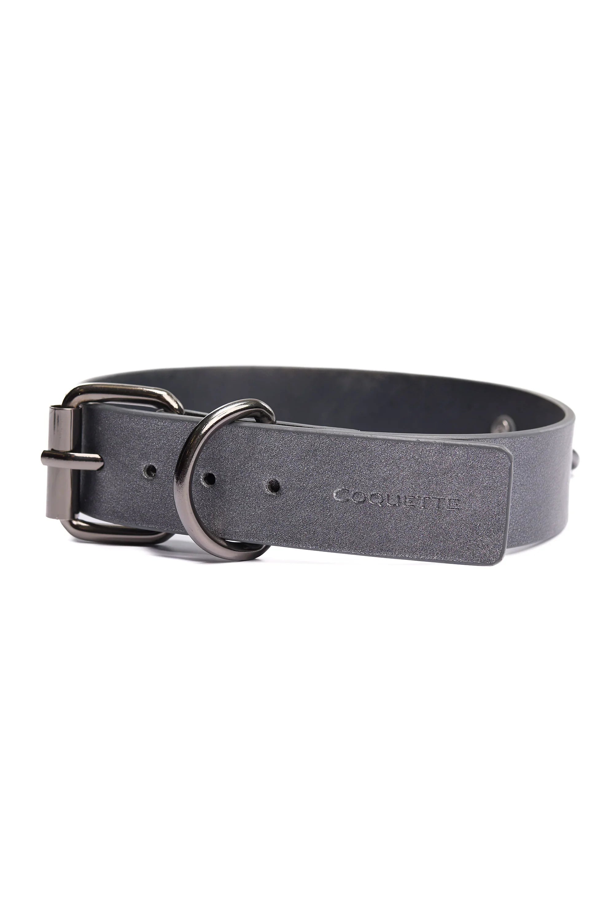 Collection of Gunmetal Glam Collar & Leash in a gallery layout